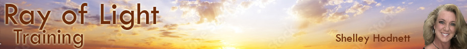 Ray of Light Training Logo